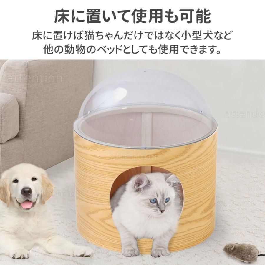 ステップ