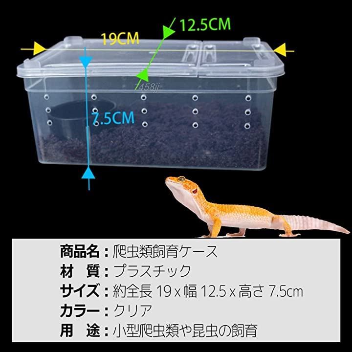爬虫類 両生類 観賞用ガラスケース 楽天市場】ガラスケース（爬虫類・両生類｜ペット・ペットグッズ