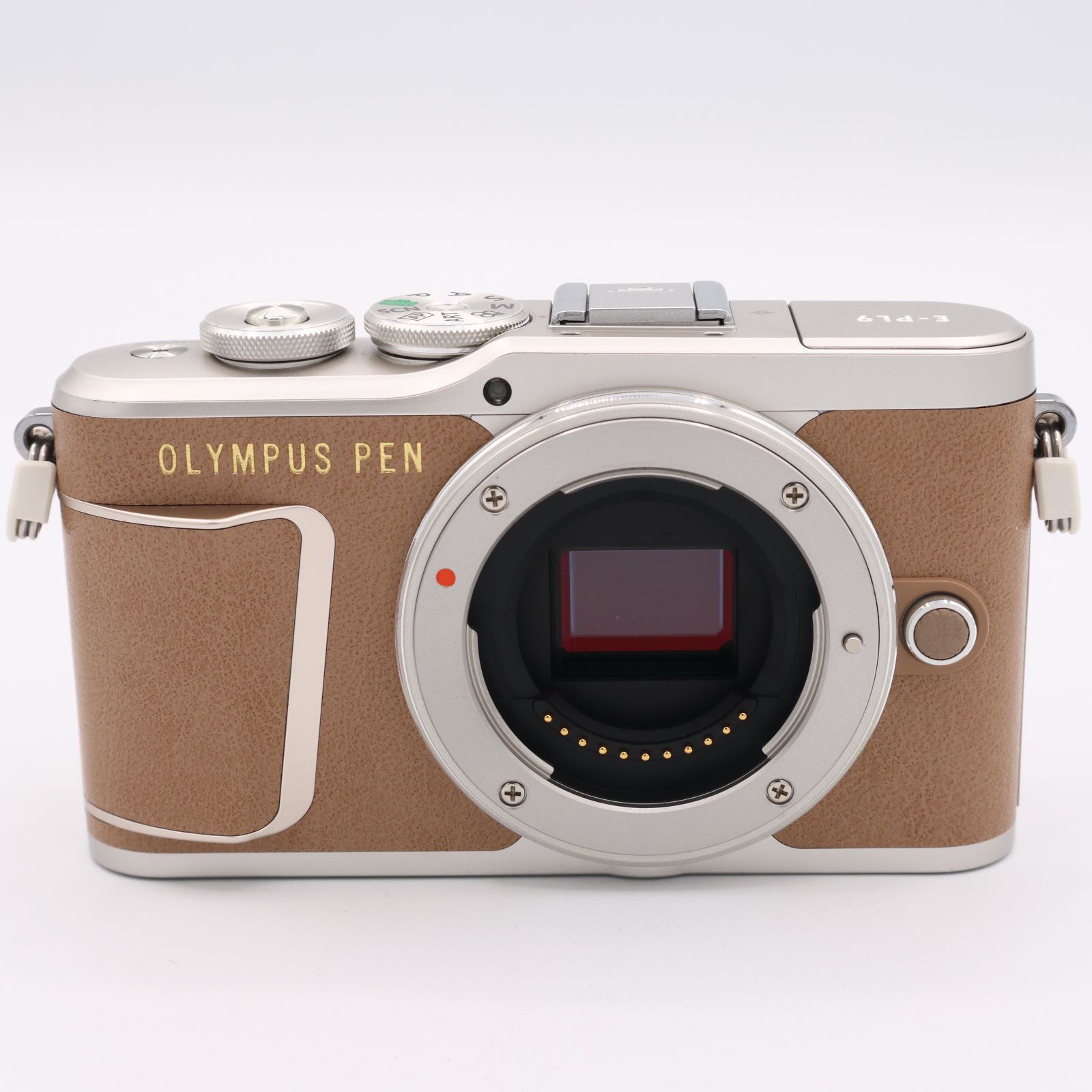 OLYMPUS ミラーレス一眼カメラ PEN E-PL9 ダブルズームキット