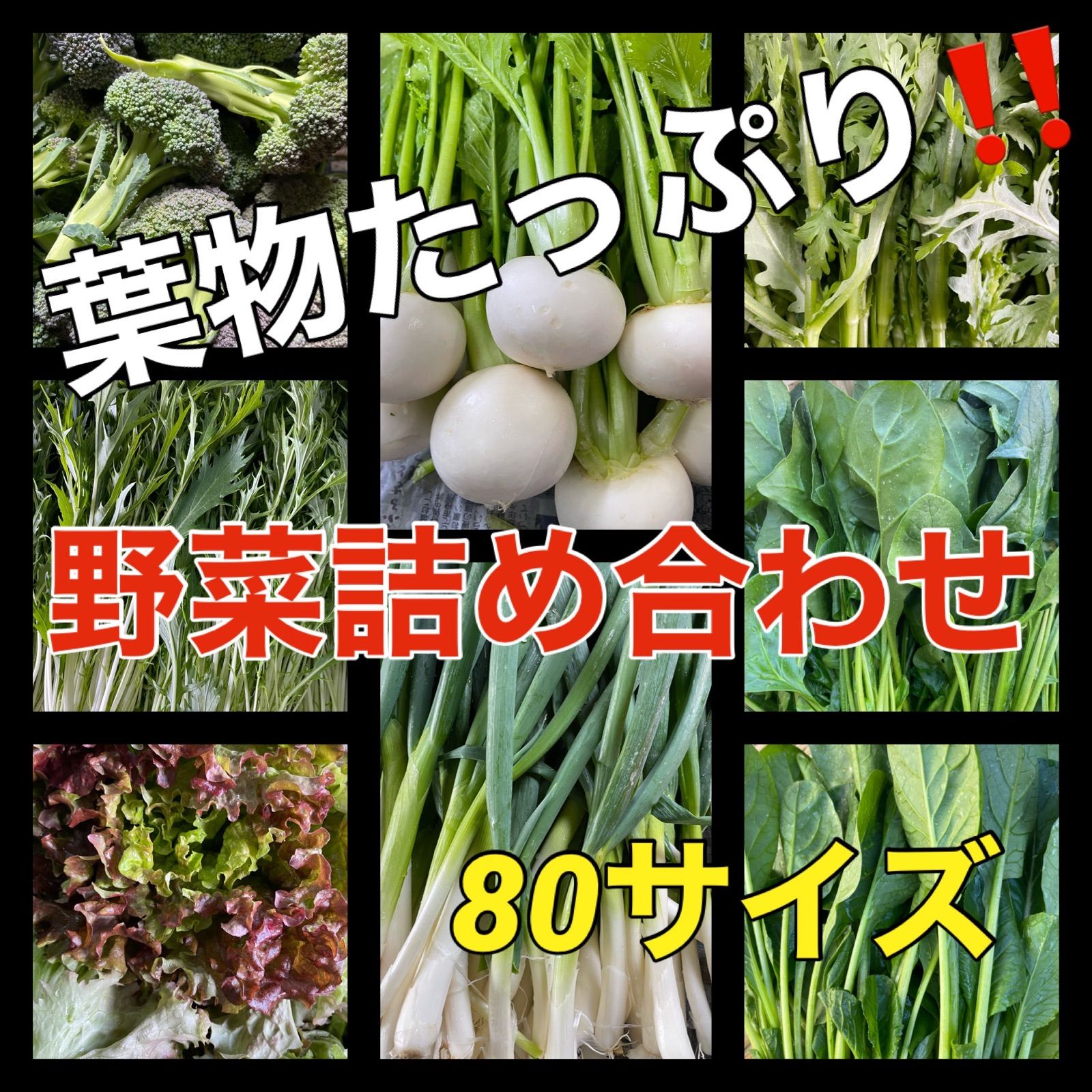 人気商品は たっぷり野菜詰め合わせ❣️80サイズ tdh-latinoamerica.de