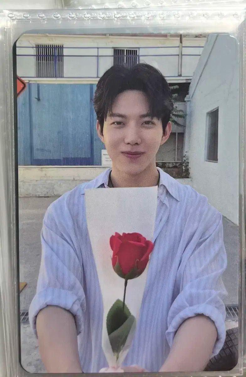 DAY6 The Decade トレカ whos fan ドウン DAY6】4th Full Album『The