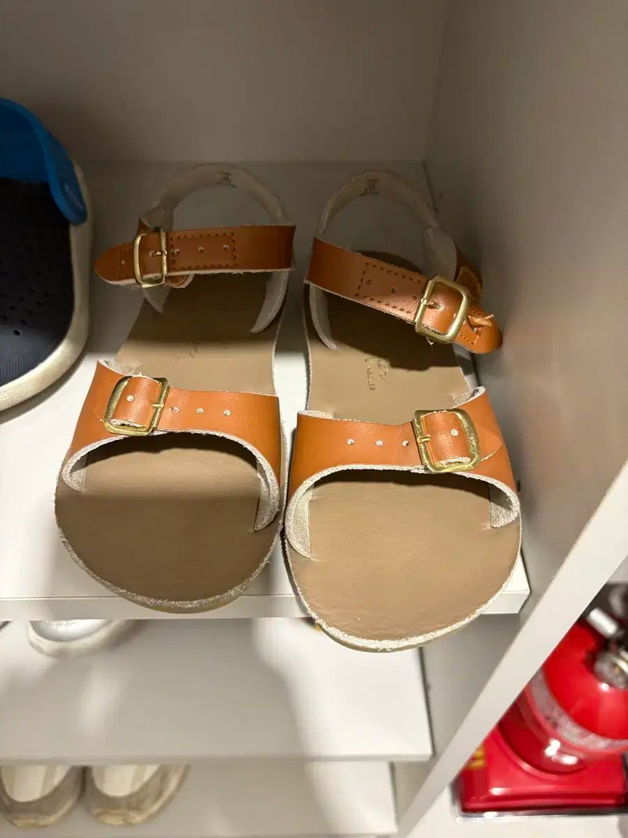 品質保証，新品 ソルトウォーター その他