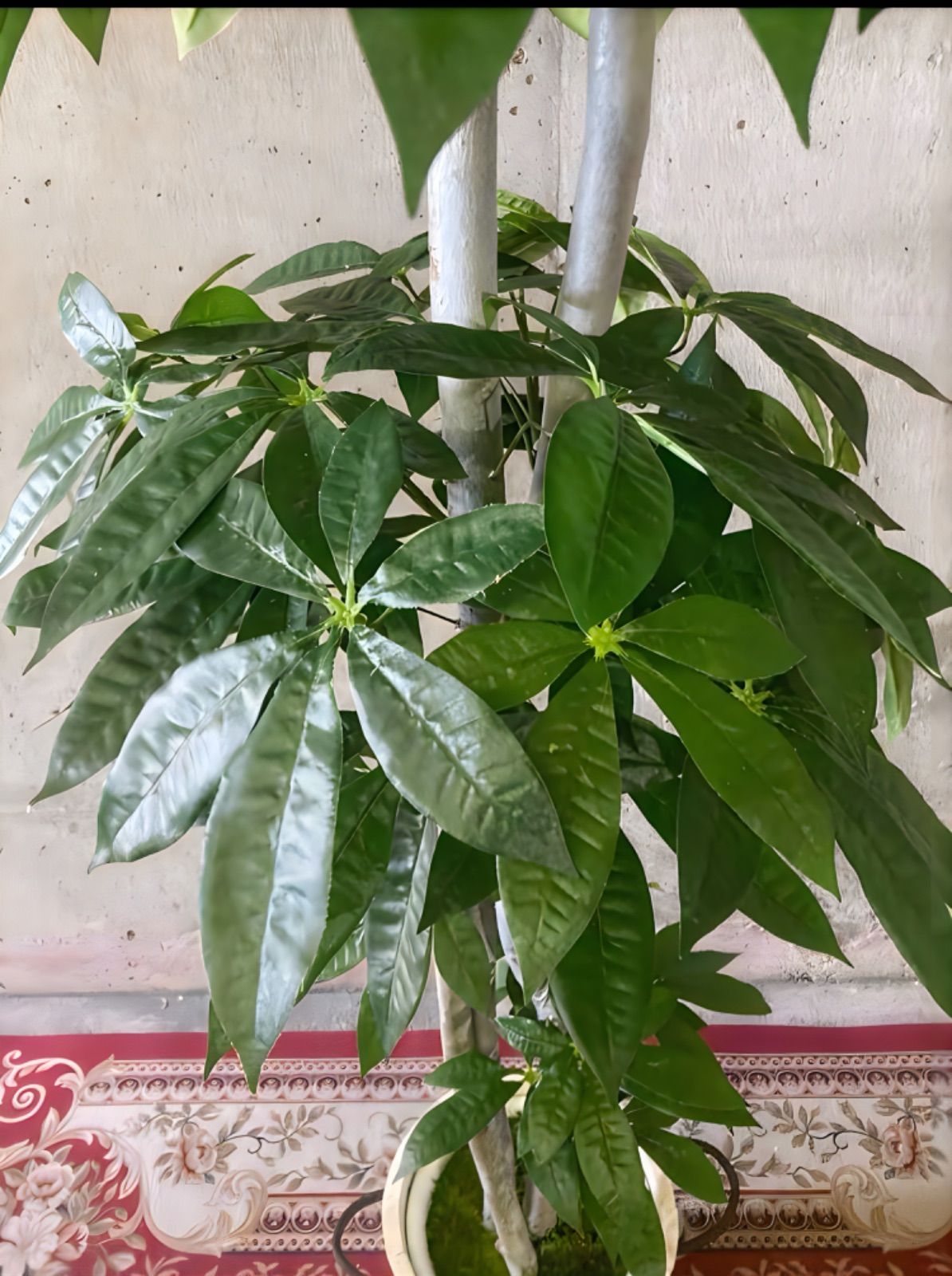 光触媒 人工観葉植物 ウォールグリーン フェイクグリーン シェフレラ90