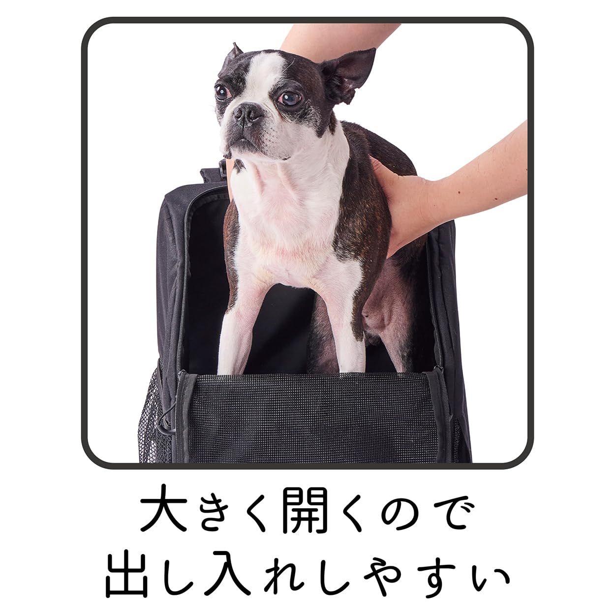 犬猫用キャリーバッグ Petio