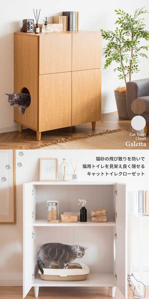 清潔