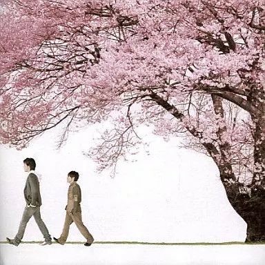 中古】邦楽CD コブクロ / 桜 Spring Package(限定盤) - メルカリ