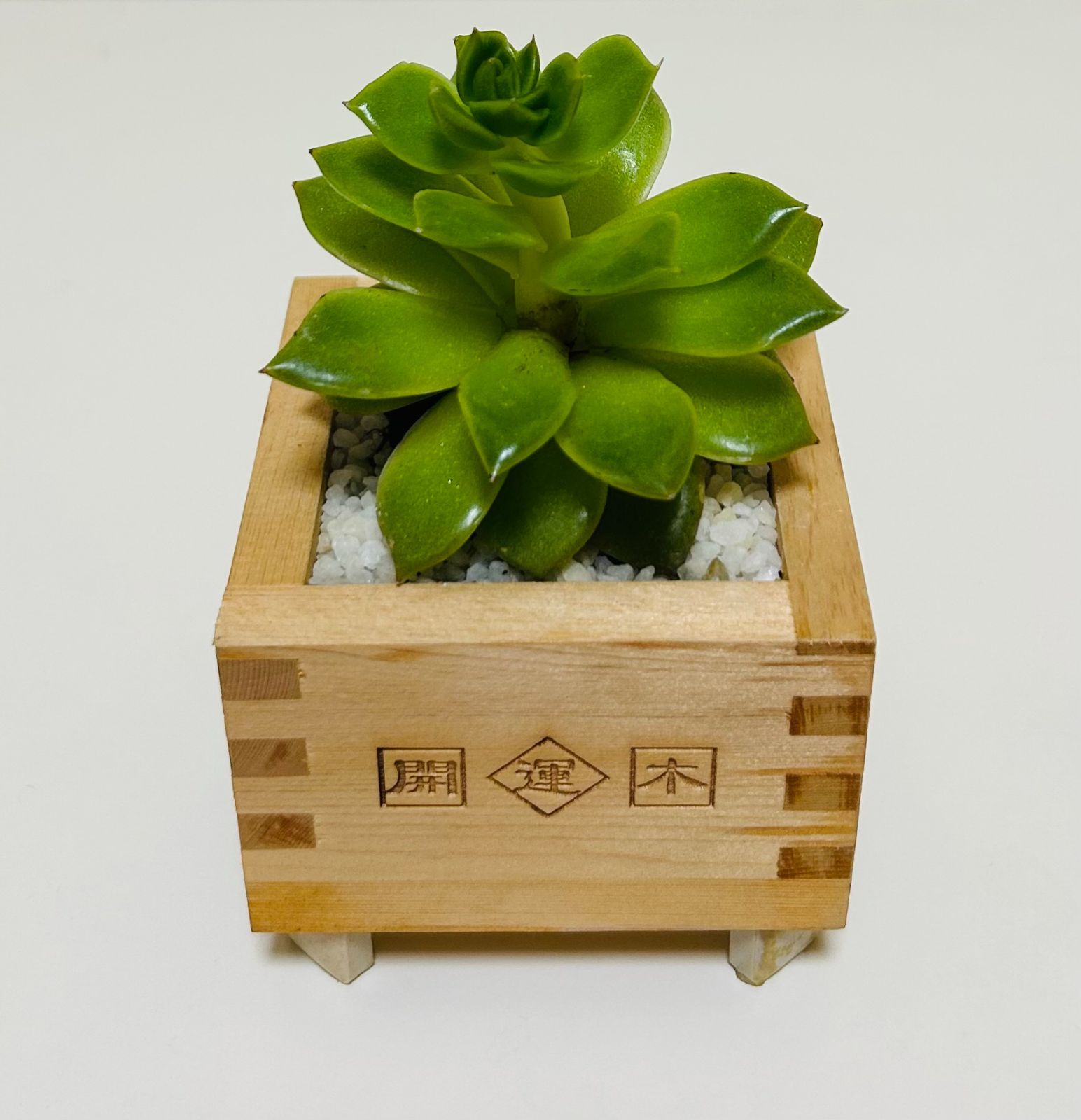 MAD et LEN フィグノア 15ml ポプリ プチサイズ (普通サイズ)