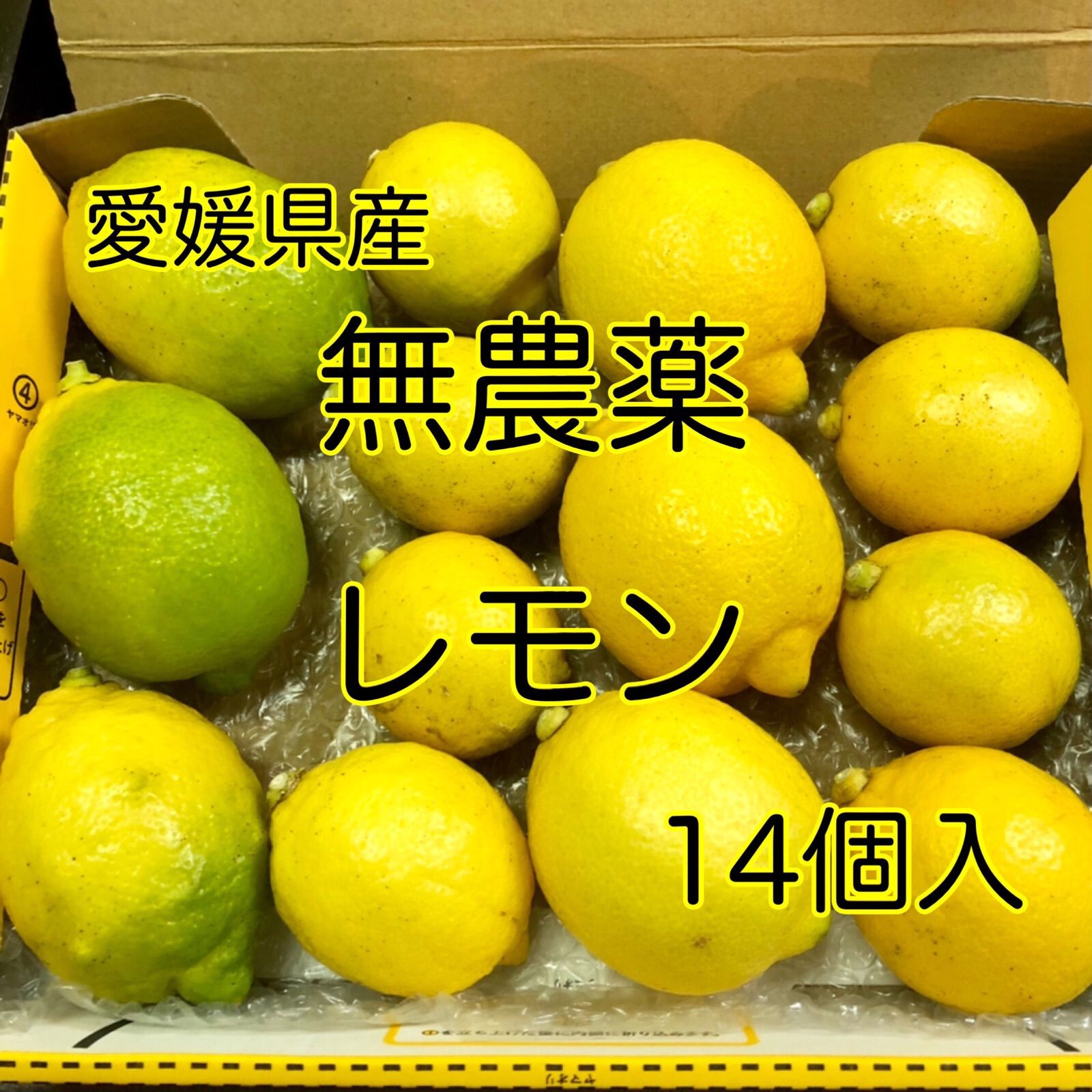 国産レモン 愛媛県産 ☆9 - 果物