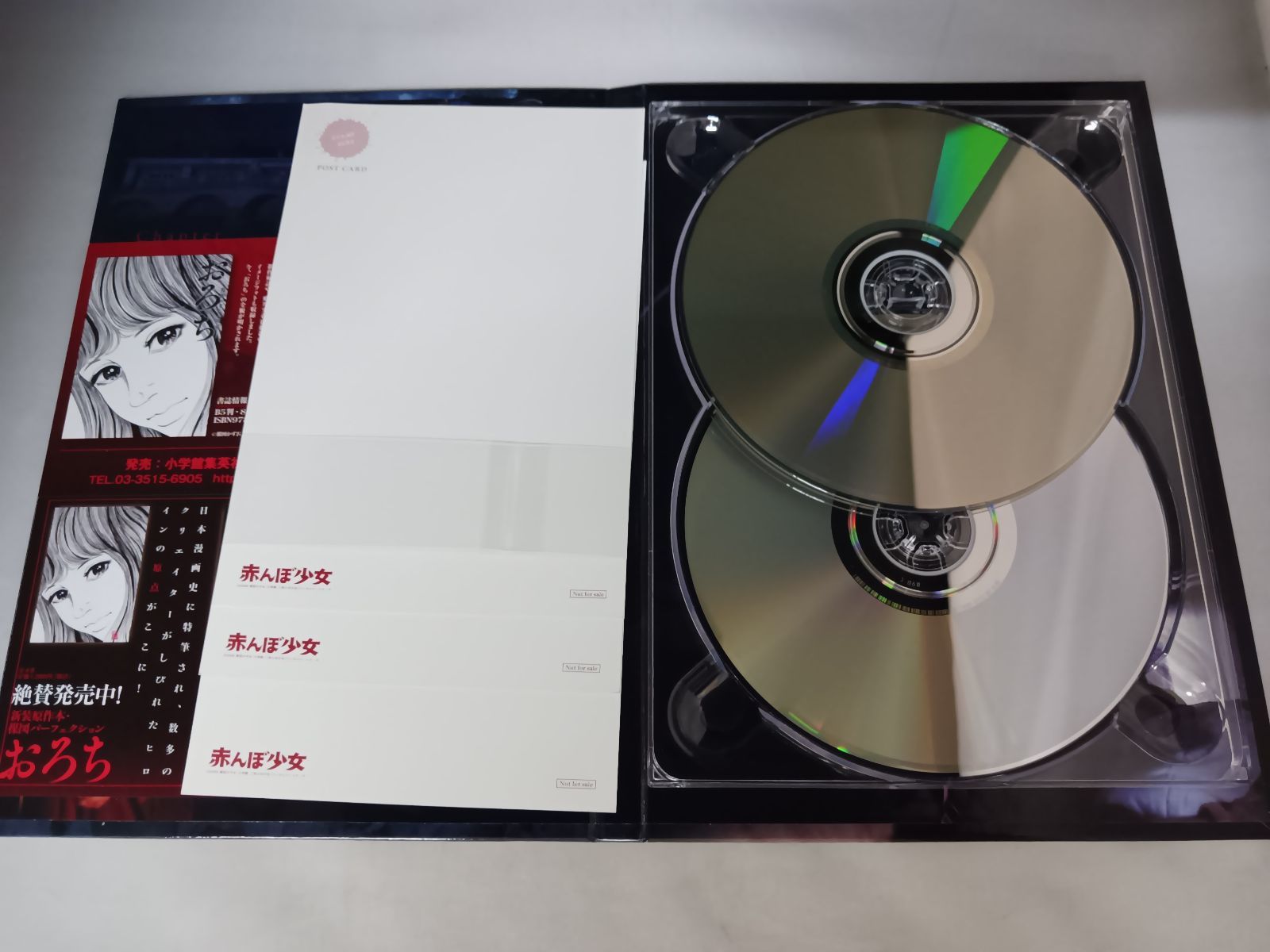 DVD 赤んぼ少女 初回限定版 - メルカリ