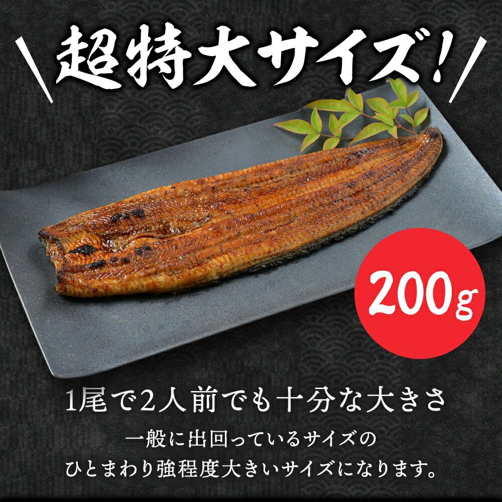 特大国産うなぎ200g×2尾 市場直送 父の日 関西焼き 高評価 国産 特大 うなぎ蒲焼き 関西焼き うなぎ 特大サイズ 鰻 ウナギ 国産うなぎ 国産鰻 国産ウナギ 特大 蒲焼 うなぎ蒲焼 うなぎの蒲焼き かば焼き 蒲焼 お取り寄せグルメ