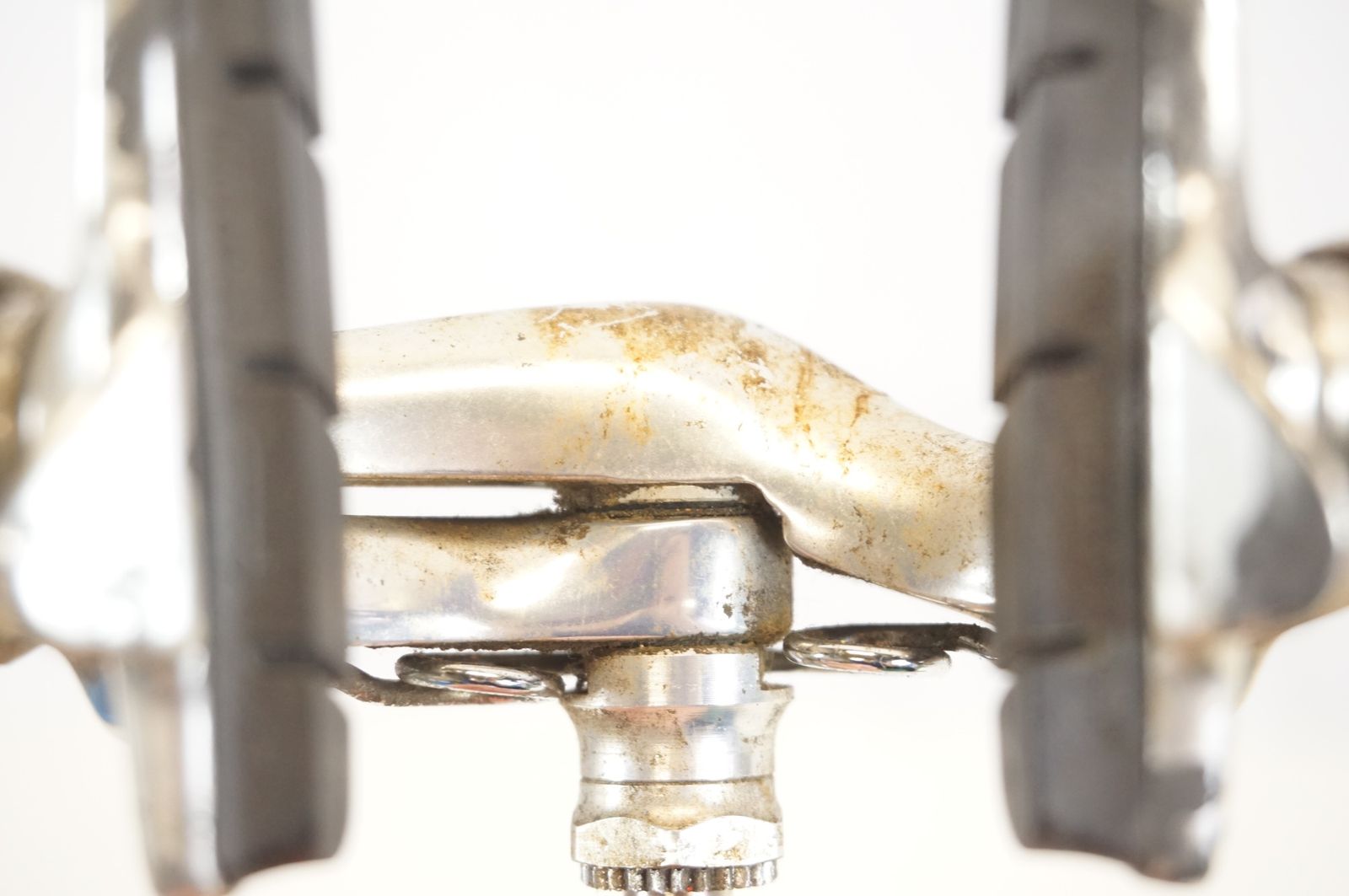 カンパニューロ