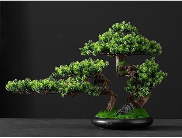 観葉植物 和風