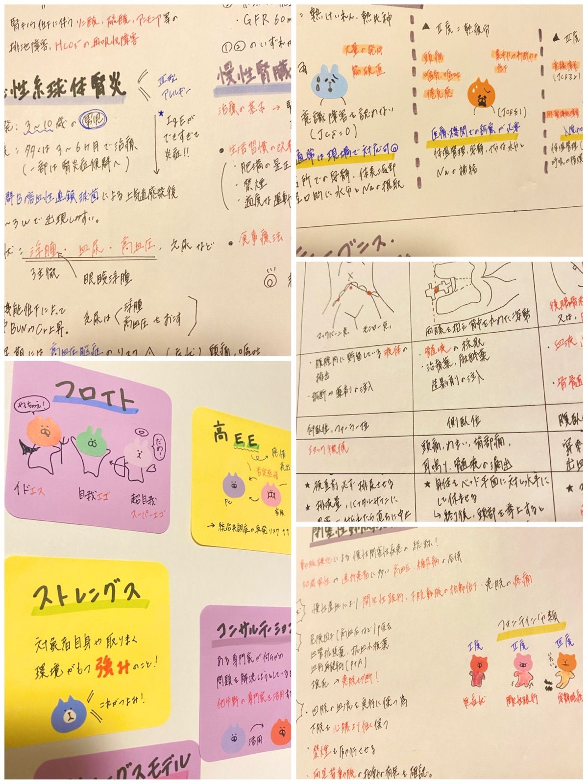 周りと差をつける❗️】看護師国家試験必勝ノート➕疾患まとめノート - メルカリ