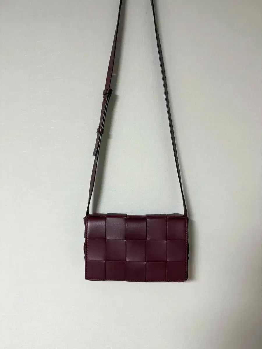 Bottega Veneta ボッテガヴェネタ カセットバッグ 単品 インナーバッグ付属