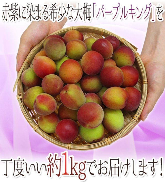 和歌山産 JA紀南 パープルキング” 秀品 L〜3L 約1kg 大梅 南高梅