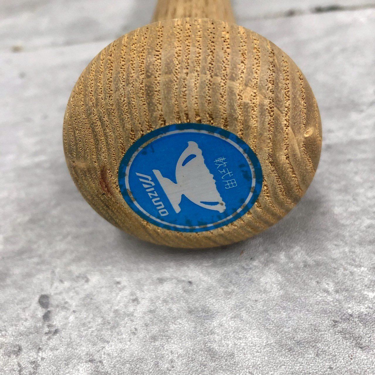 真作】掛軸 双馬図 躍動感あふれる墨馬 二頭の馬が駆ける吉祥画 R199