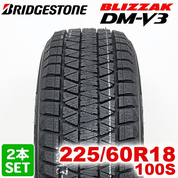 2024年製】 送料無料 BRIDGESTONE 225/60R18 100S BLIZZAK DM-V3