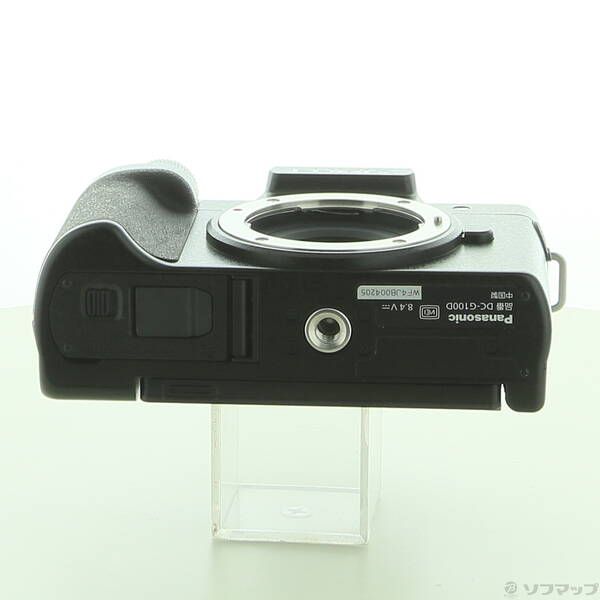  〔 品〕 DC G 100 DW 262 ミラーレス一眼 デジタルカメラ