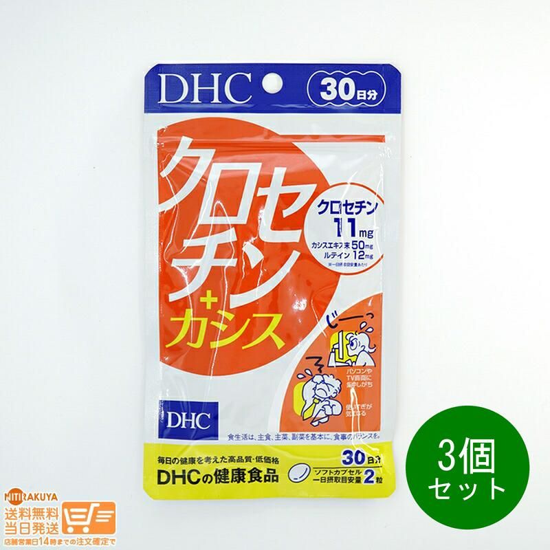 12/16まで！】トヨトミ・レインボーストーブ⭐︎クッションケース付き