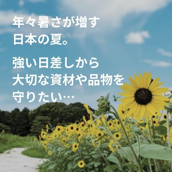 採光 養生