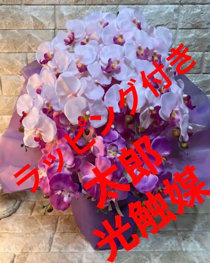 光触媒 人工観葉植物 ウォールグリーン フェイク アレンジ 胡蝶蘭6645