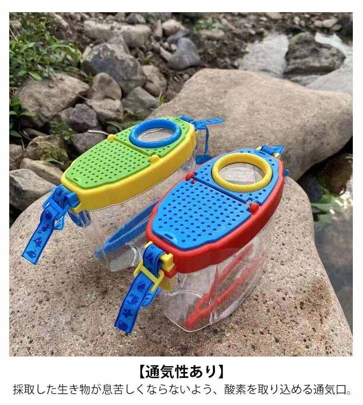 ドイツ型木製ガラス昆虫採集アクセサリーケース 超高品質で人気の ドイツ型木製ガラス昆虫採集アクセサリー