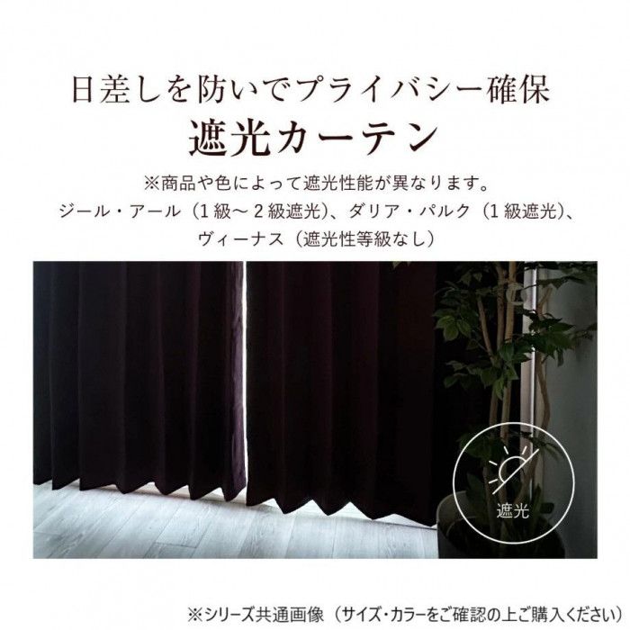 カーテン アール 2P 100X178 BE 725858000178065