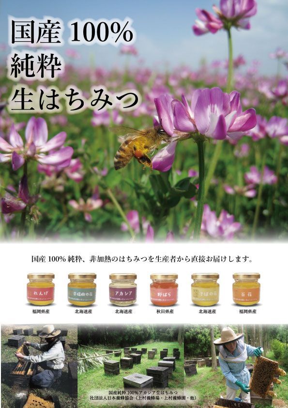 【希少】国産100％純粋蜂蜜　桜はちみつ　福岡県産　非加熱　生はちみつ