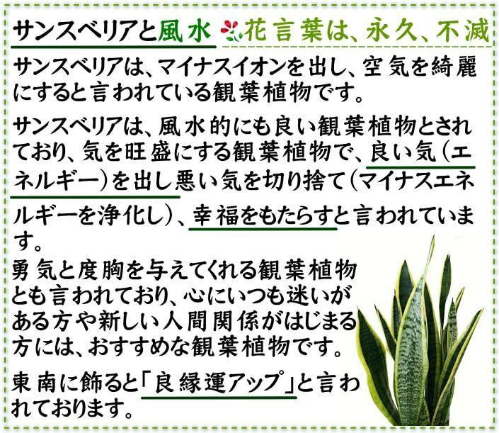 竹炭