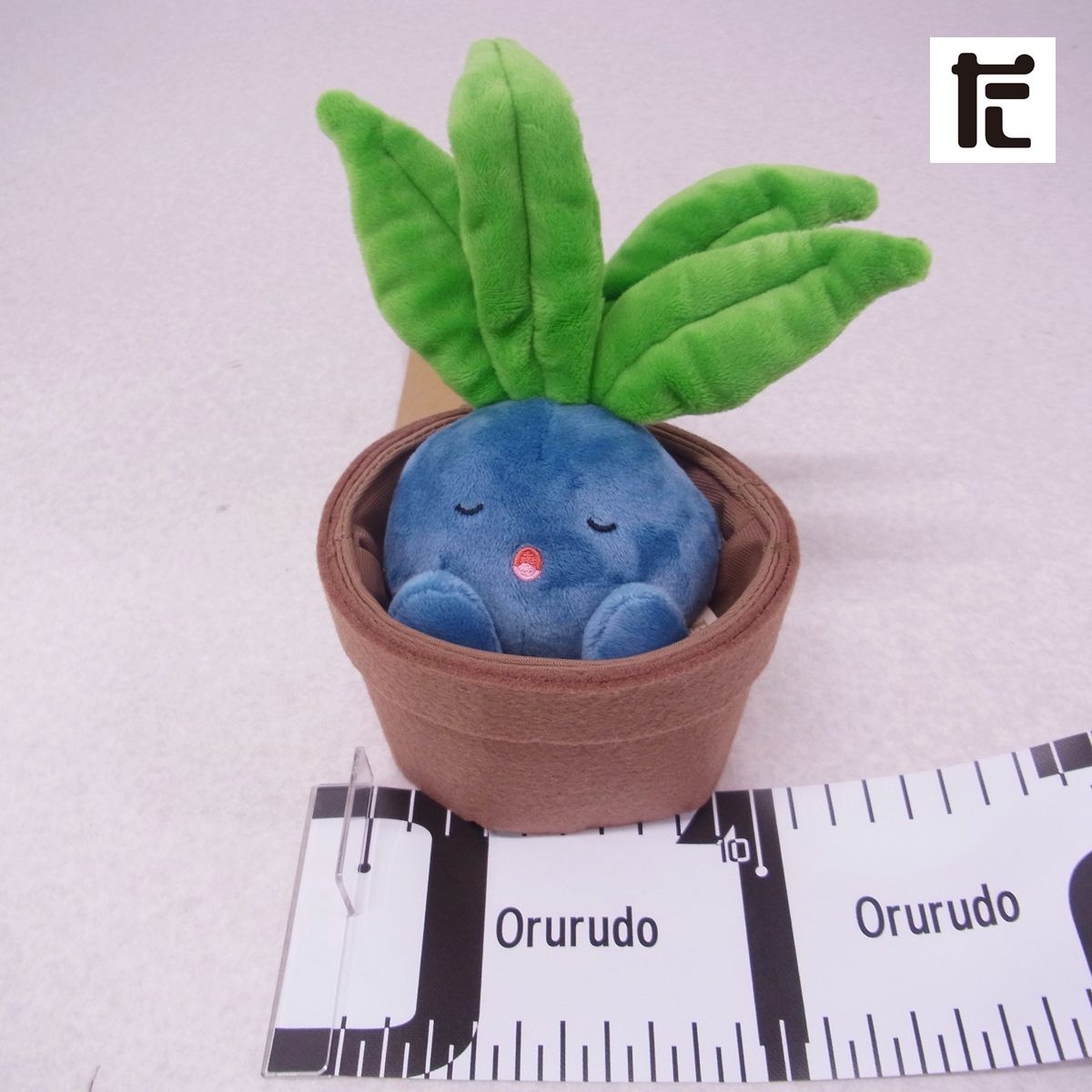 ポケモンセンター ぬいぐるみ Grassy Gardening ナゾノクサ