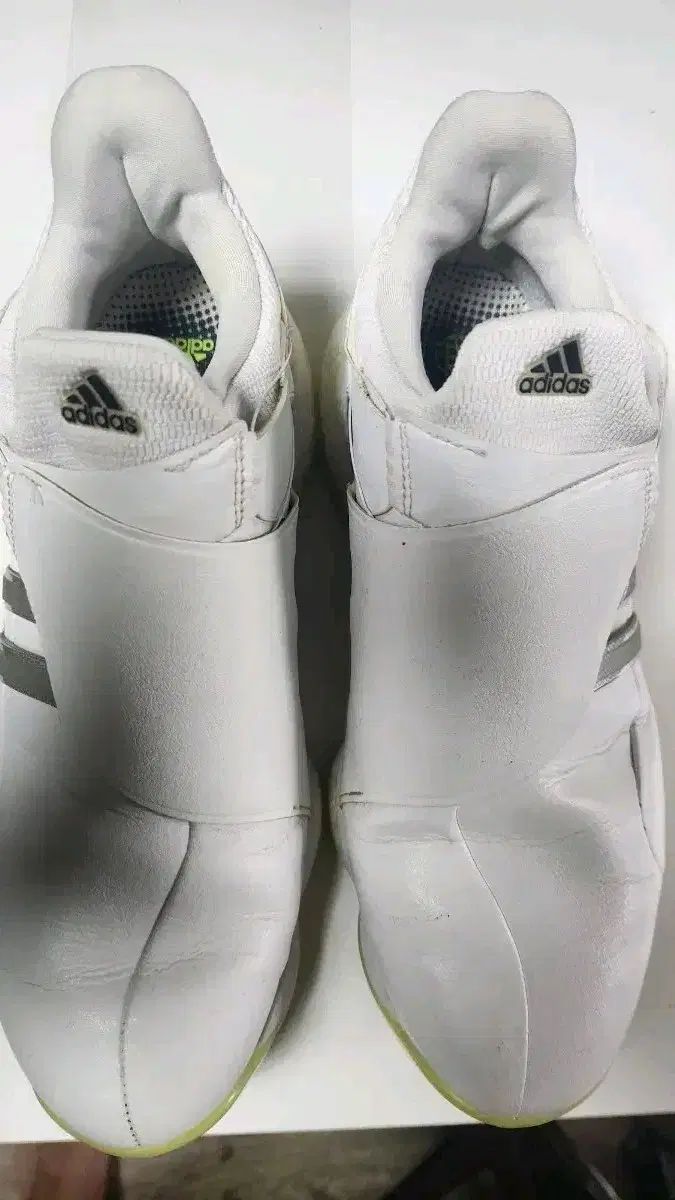 メンズ 無料配送