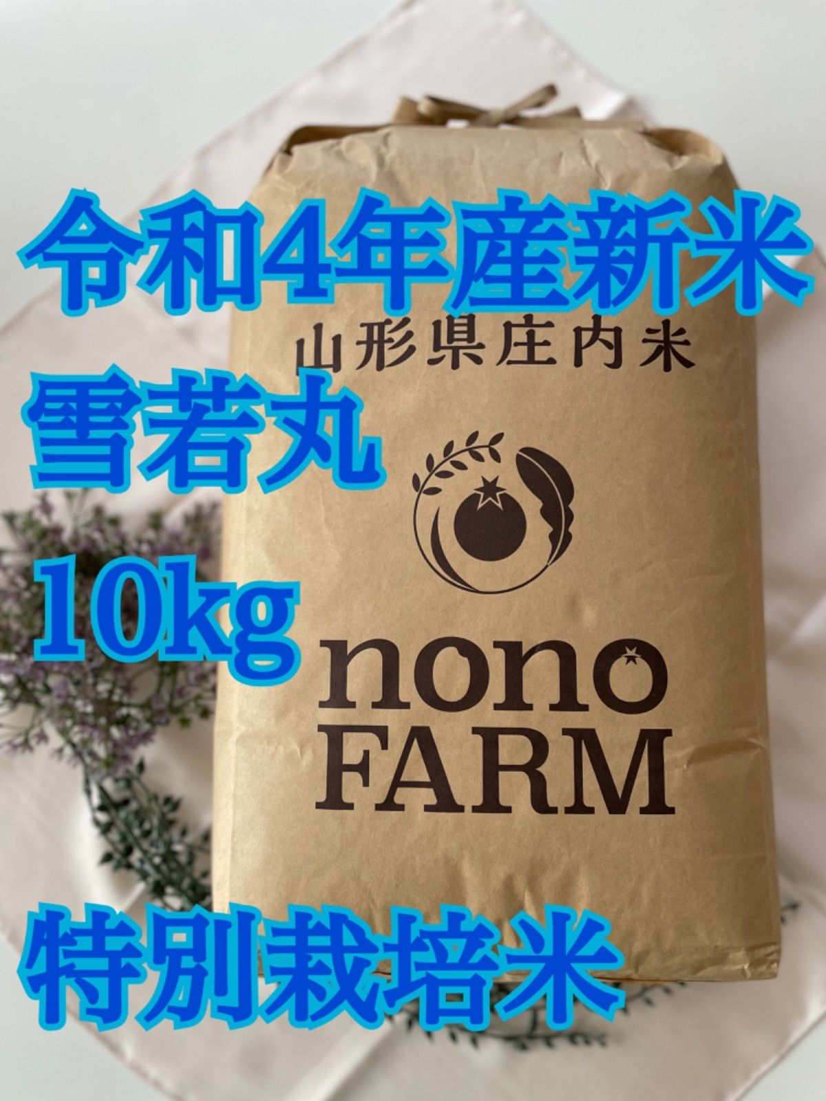 ✨令和5年産✨山形県庄内産✨無洗米 つや姫✨5kg✨ - 米・雑穀・粉類