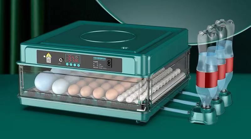 大好評 最新自動孵卵器 インキュベーター 恒温器 鳥類 ふ卵器 孵化器 自動転卵式 アヒル 鶏卵 アヒル うずら 恒温孵化器