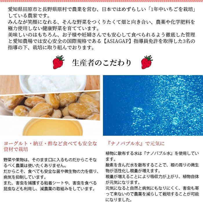 愛知県産冷凍いちご 1kg 保存に便利な保冷袋付き