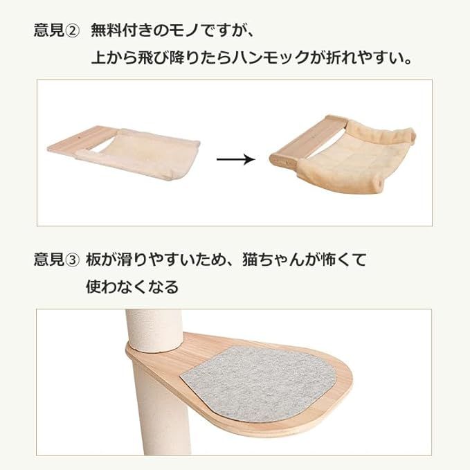 大型猫