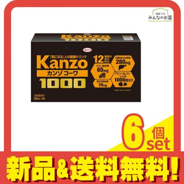 カンゾコーワ1000 ドリンク 100mL× 10本 6個セット まとめ売り