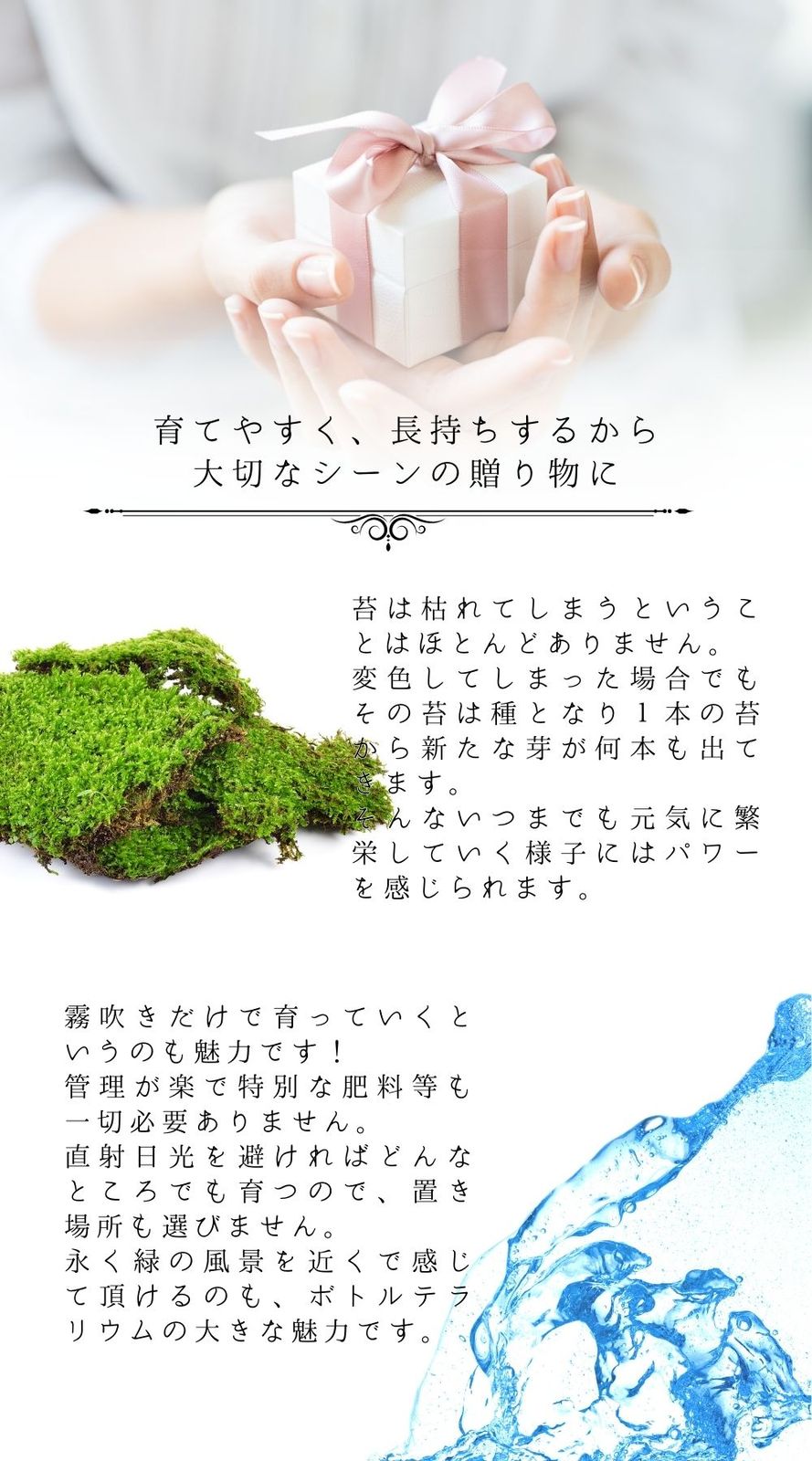 おしゃれ 贈り物