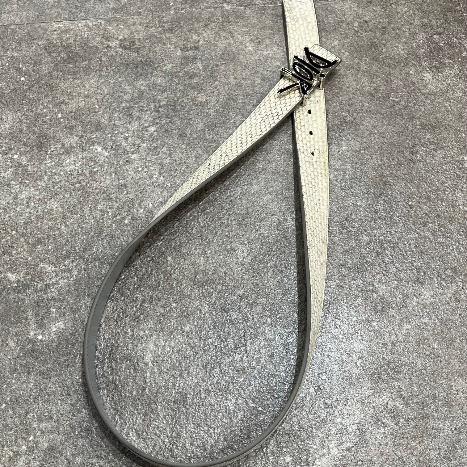 DIOR Shawn Stussy コラボ パイソンベルト ステューシー