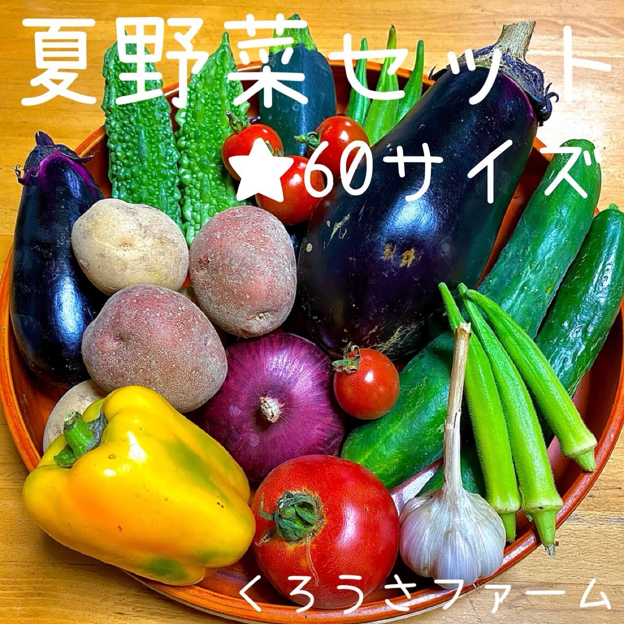 農薬不使用 野菜セット 野菜詰め合わせ 60サイズ 愛知県産