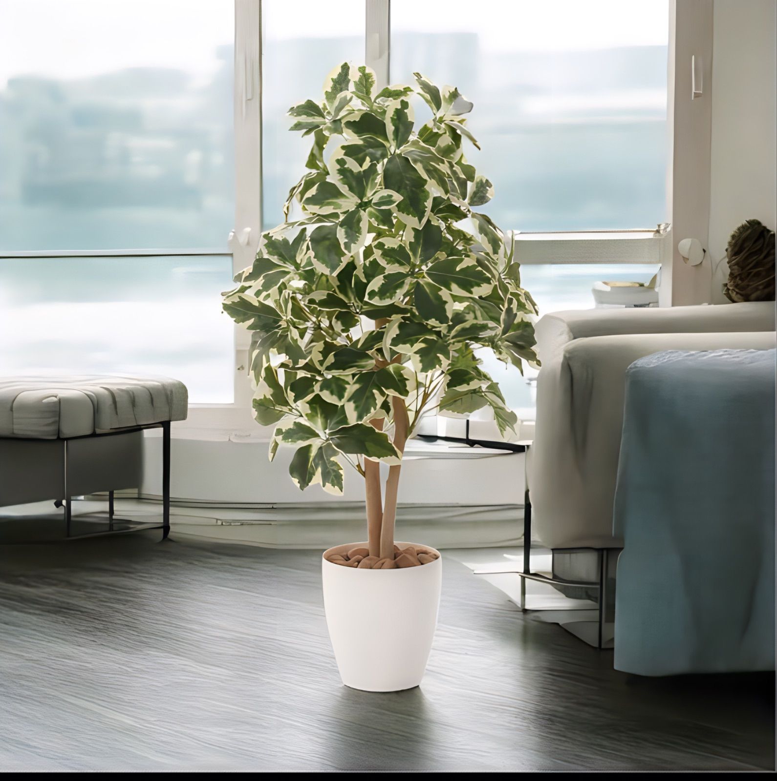 光触媒 人工観葉植物 ウォールグリーン フェイクグリーン 斑入