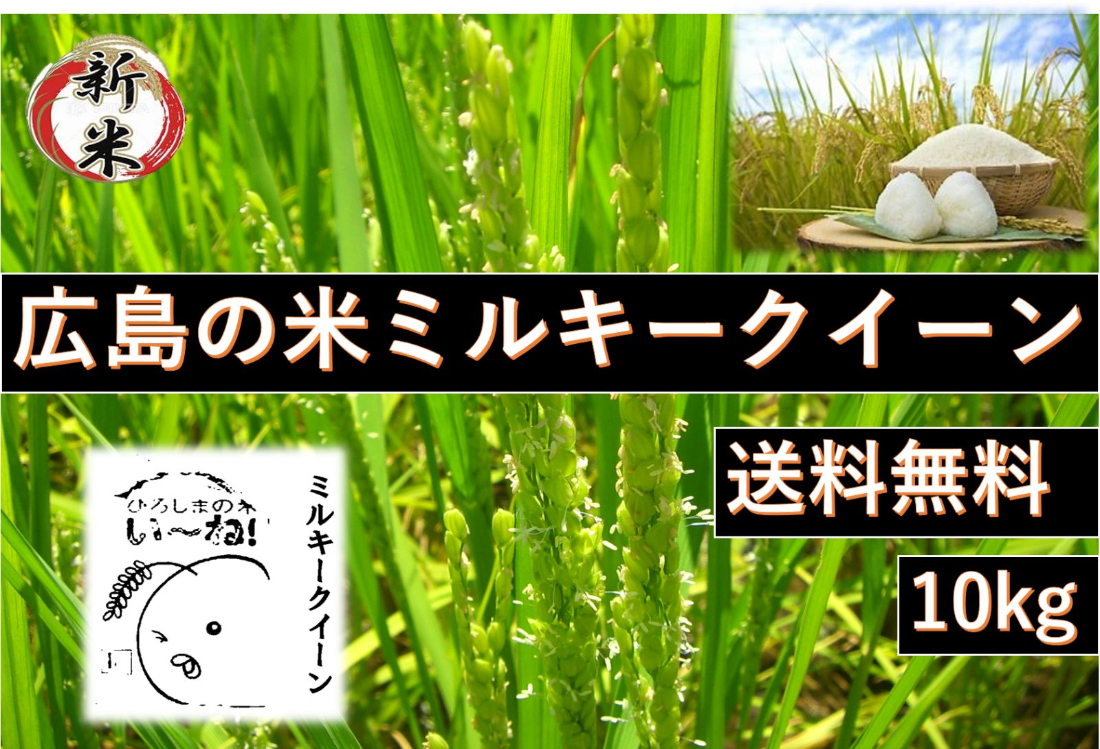 新米 米 10kg ミルキークイーン 長野県産 特別栽培米 令和5年産 送料無料お米 分つき精米 玄米