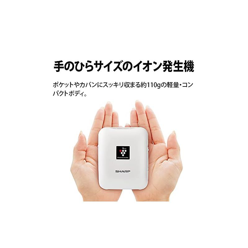 シャーププラズマクラスターイオン発生機IGーNM1SーW