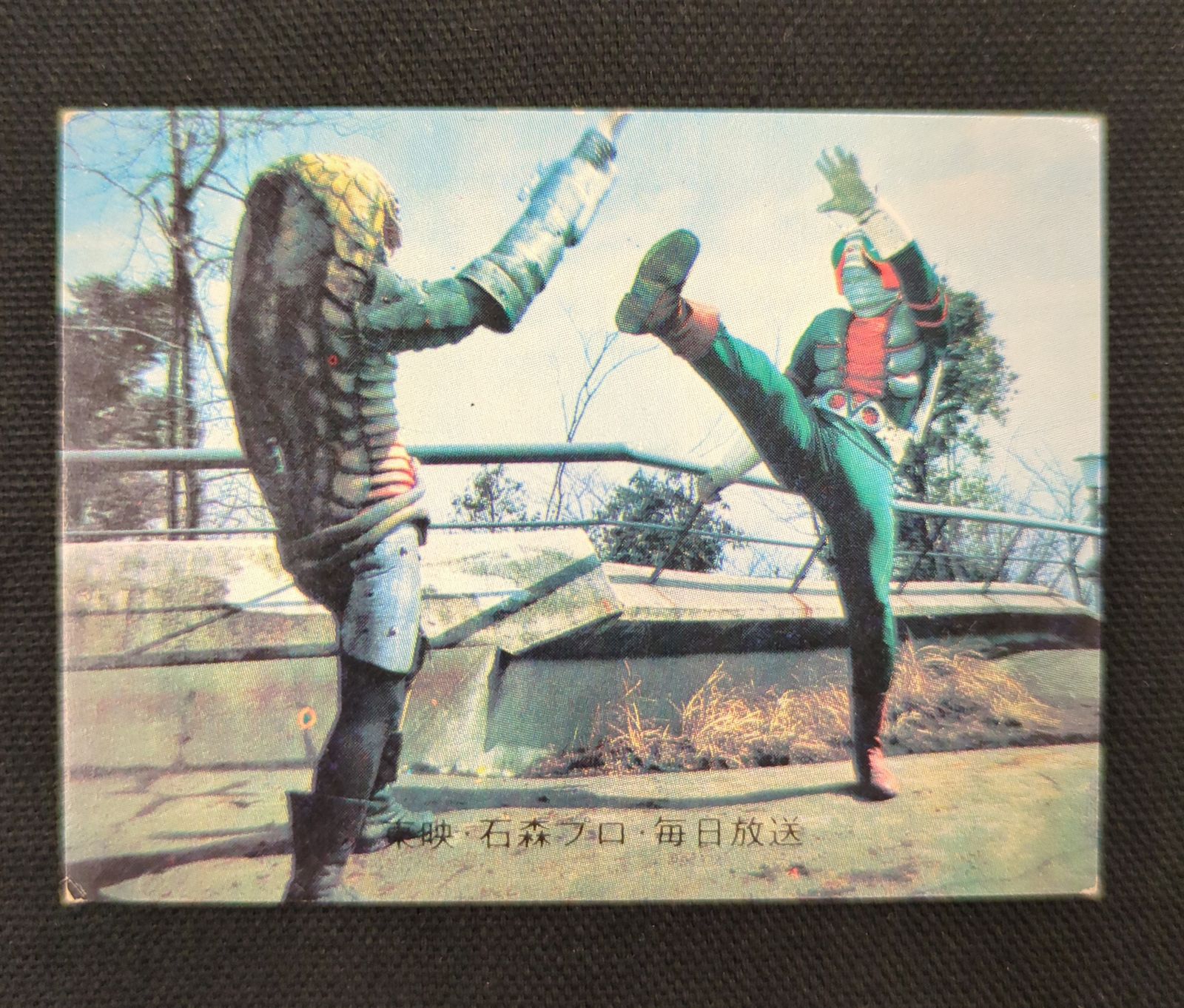 WS 賢狼 ホロ SP psa10