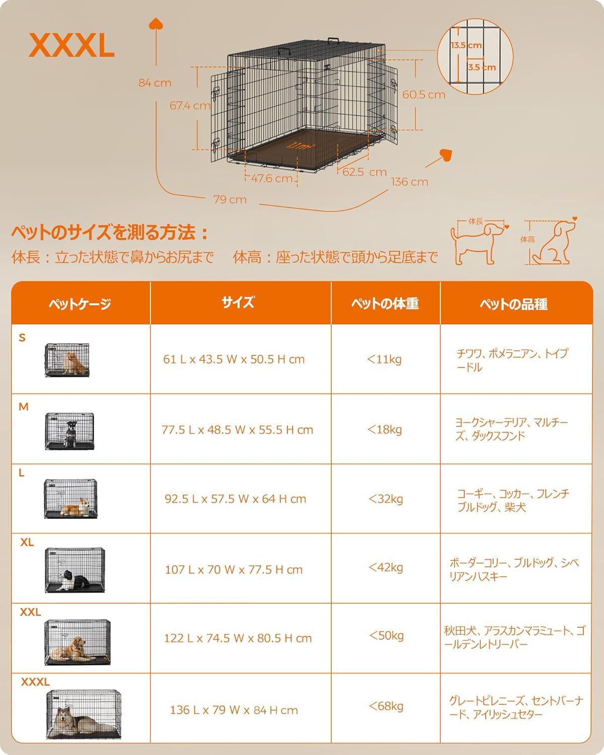 持ち手付き