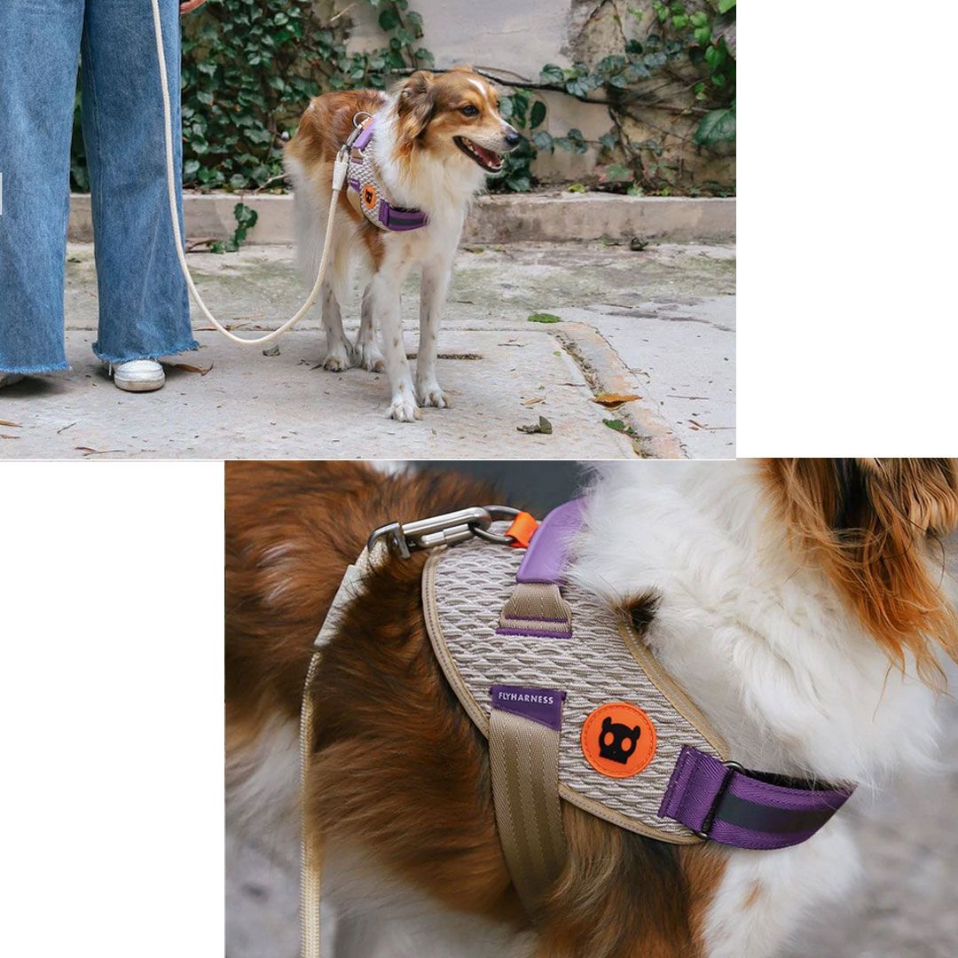 ジードッグzee.dog  FLY HARNESS/フライハーネス ACG(エーシージー) サイズL(中型犬-大型犬用) 390300  