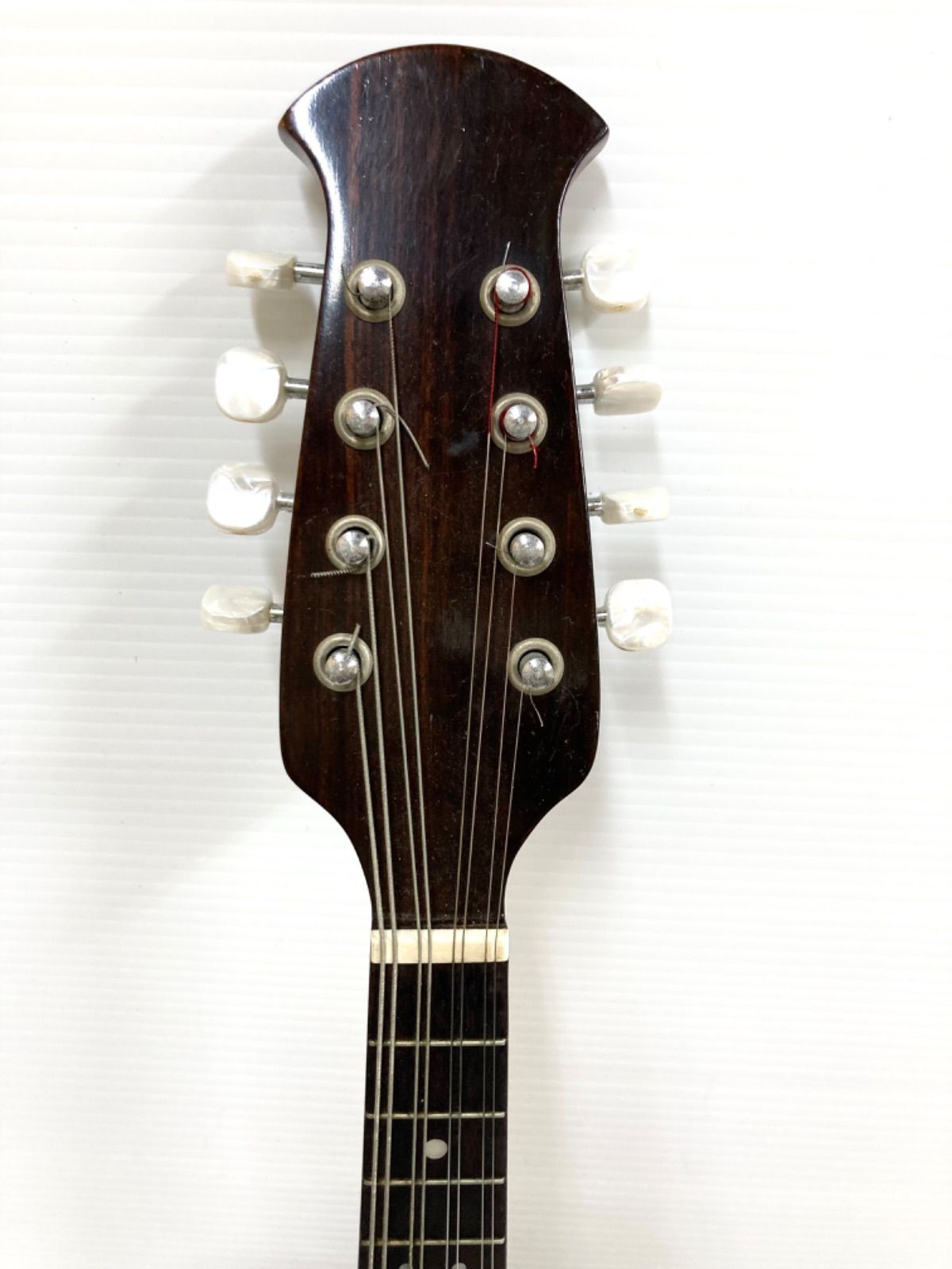 Epiphone Shinichi Ubukata ES-355 Ebony 【着後レビューで - ギター