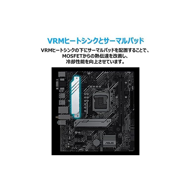 第10世代 11世代