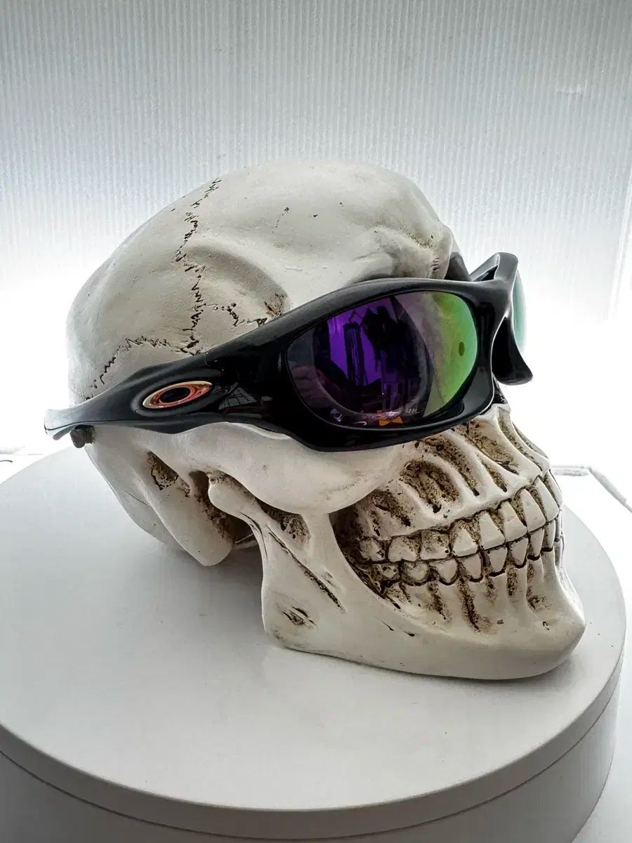oakley サングラス　オークリー　モンスタードッグ　00s 90s 90s-00s OAKLEY オークリー モンスタードッグ ビンテージサングラス