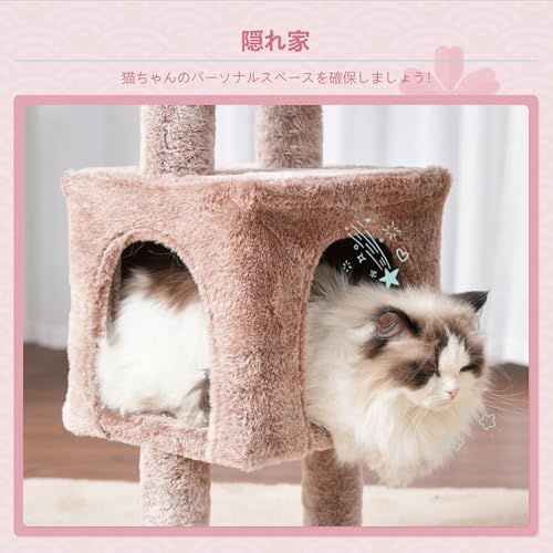ねこ オフィスマイン マイン とんがりキャップ S TOC080S アール