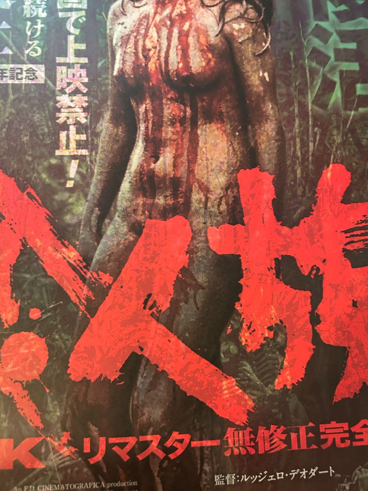 CANNIBAL HOLOCAUST 食人族 1/6 ポリストーン 食人族2 中古DVD・ブルーレイ | ブックオフ公式オンラインストア